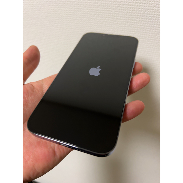 iPhone13 pro MAX 265GB