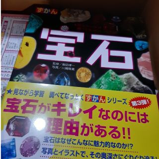 ずかん宝石 見ながら学習調べてなっとく(科学/技術)