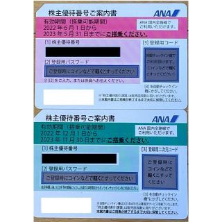 ANA株主優待券 2枚(その他)