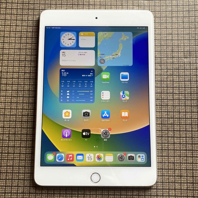 iPadmini5 256GB wifi