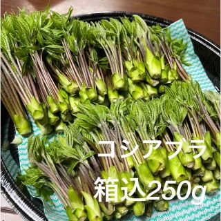 コシアブラ(野菜)