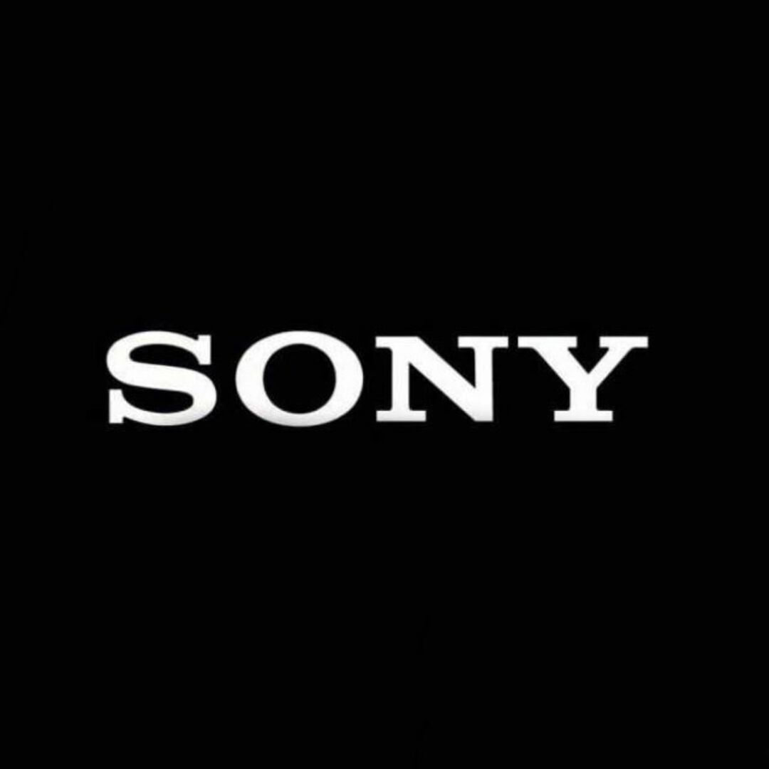 SONY(ソニー)のSONY ソニー アルミ エンブレム プレート シルバー/ブラック 銀黒 a スマホ/家電/カメラのオーディオ機器(アンプ)の商品写真