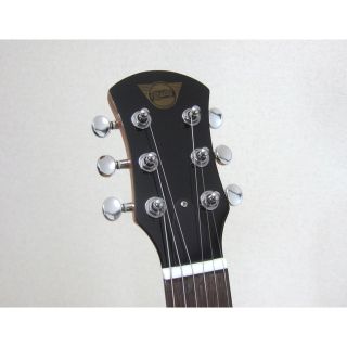 PIGNOSE PGG-200MH マホガニー アンプ内蔵ミニギターの通販 by ROD