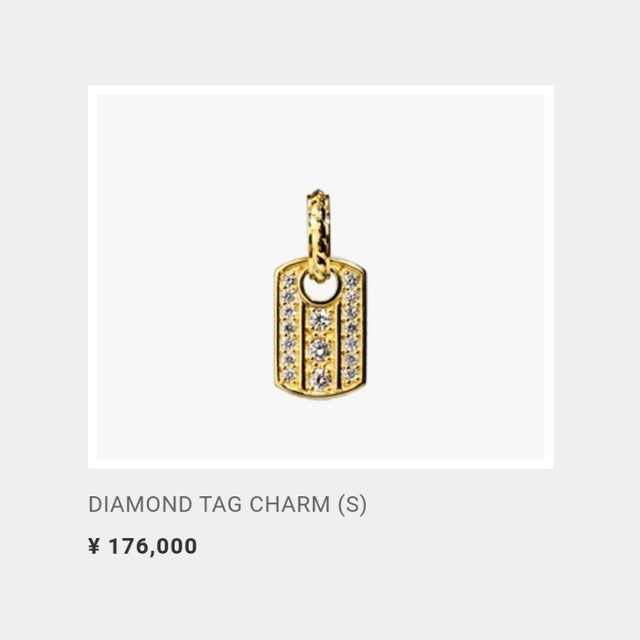 sjx　DIAMOND TAG CHARM (S)　お値引き対象外 3