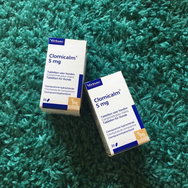 クロミカルム その他のペット用品(犬)の商品写真