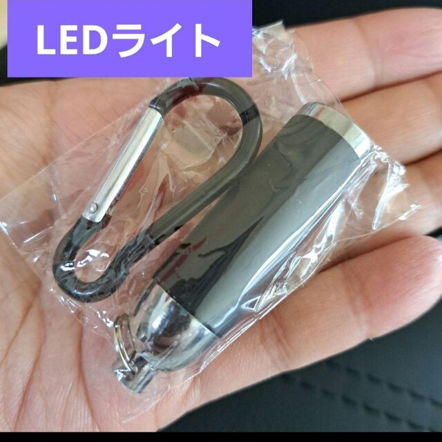 小型LEDライト スポーツ/アウトドアのアウトドア(ライト/ランタン)の商品写真