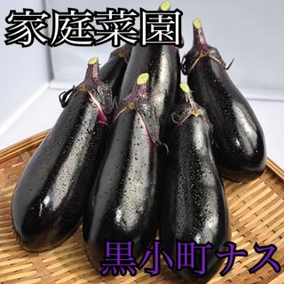 新品⭐︎  黒小町ナス　タネ　家庭菜園(野菜)