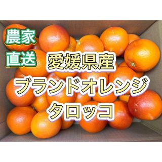 【家庭消費向】国産タロッコ(ブラッドオレンジ)愛媛県産　5kg(フルーツ)