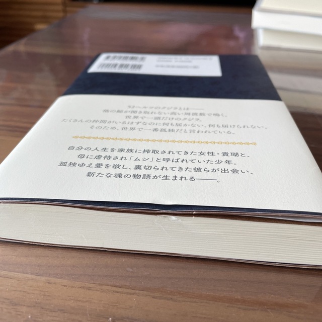 本 エンタメ/ホビーの本(文学/小説)の商品写真