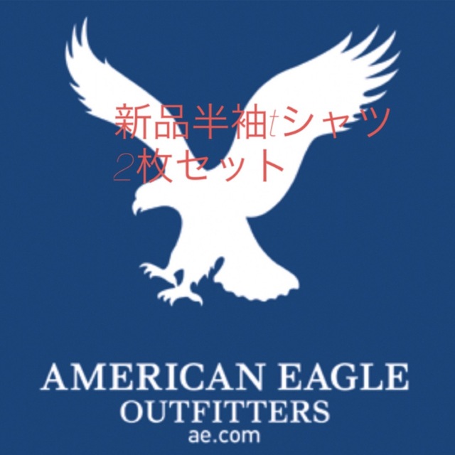 American Eagle(アメリカンイーグル)のアメリカンイーグル　AMERICANEAGLE 半袖tシャツ メンズ2枚セット　 メンズのトップス(Tシャツ/カットソー(半袖/袖なし))の商品写真