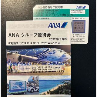 エーエヌエー(ゼンニッポンクウユ)(ANA(全日本空輸))のANA株主優待券(その他)