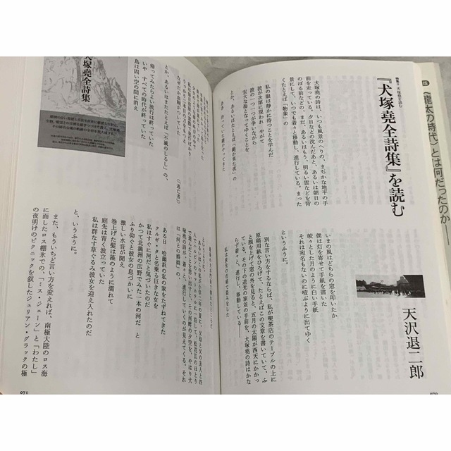 現代詩手帖　第五十巻・第六号　岡井隆の挑戦　犬塚堯を読む エンタメ/ホビーの本(人文/社会)の商品写真