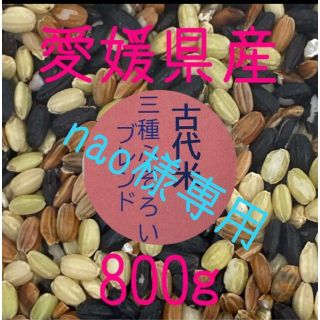 nao様専用  古代米3種ふぞろいブレンド　愛媛県産　800ｇ(米/穀物)