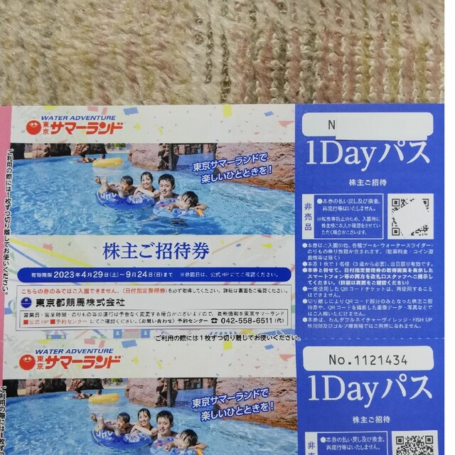 東京都競馬　株主優待　1Dayパス8枚＆大井競馬場株主優待証 2