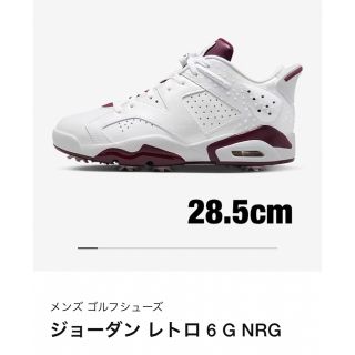 ナイキ(NIKE)のジョーダン レトロ 6 G NRG  28.5cm(スニーカー)