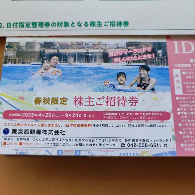 ☆2名分(2枚)☆メルカリ便☆匿名配送☆東京サマーランド株主ご招待