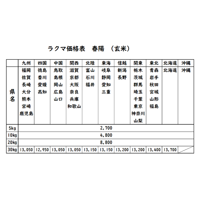 愛媛県産春陽　お米　30㎏　米/穀物　令和4年　玄米