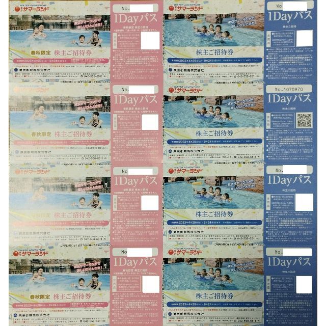 東京サマーランド 株主ご招待券(東京競馬場の株主優待) - beverly