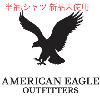 アメリカンイーグル(American Eagle)のアメリカンイーグル　AMERICANEAGLE メンズ　半袖tシャツ 新品未使用(Tシャツ/カットソー(半袖/袖なし))