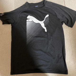 プーマ(PUMA)のPUMA Tシャツ(Tシャツ/カットソー(半袖/袖なし))