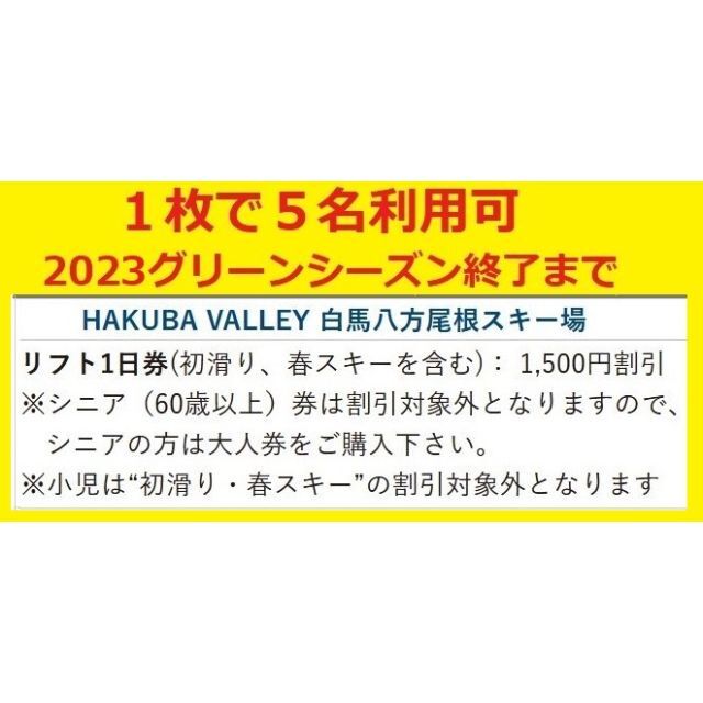 白馬八方尾根スキー場リフト1日券　1枚