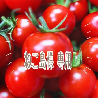 ミニトマト　３ｋｇ(野菜)