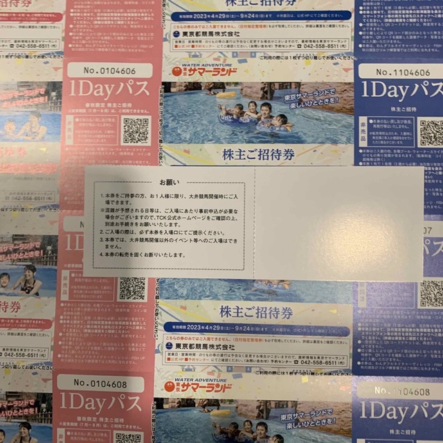 激安価格と即納で通信販売 東京サマーランド株主優待券1000