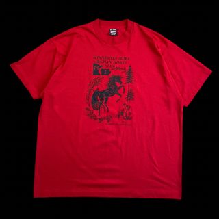 フルーツオブザルーム(FRUIT OF THE LOOM)の90s USA製 ヴィンテージTシャツ アニマル 動物 馬 シングルステッチ(Tシャツ/カットソー(半袖/袖なし))