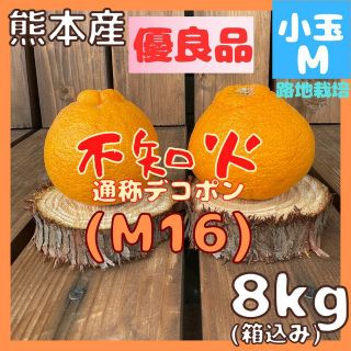 不知火 優良品 M16 小玉M5kg(デコポン)(フルーツ)