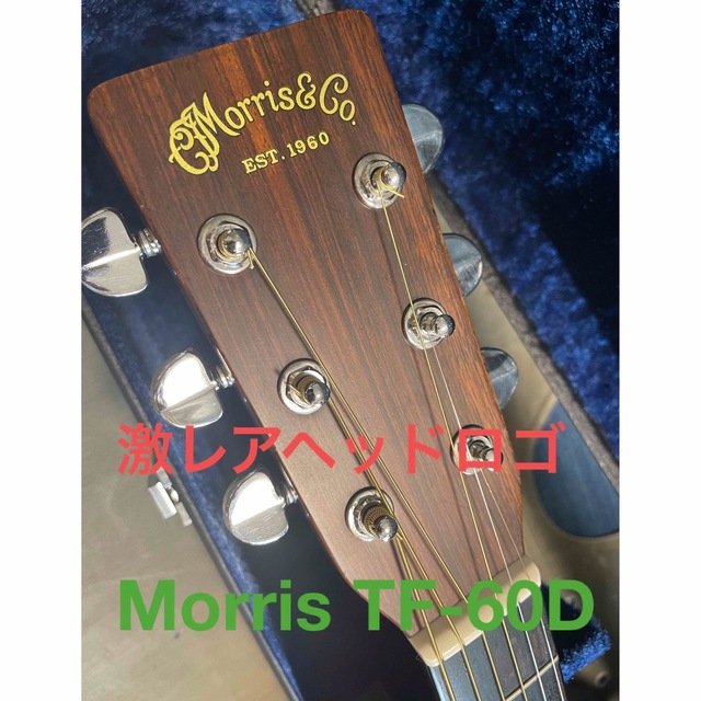 Morris TF-60D (Martin D-28 モデル) 何でも揃う profitoutdoorliving.com