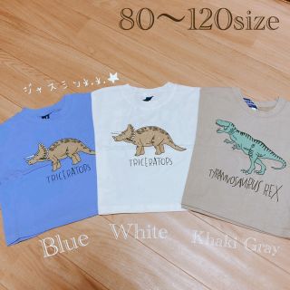 80サイズ カーキ グレー ティラノサウルス レックス 半袖 恐竜 Tシャツ (Ｔシャツ)