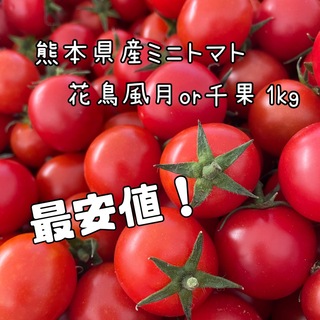熊本県産ミニトマト1キロ(野菜)