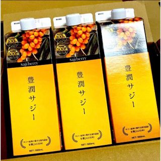 匿名配送無料 新品未開封 豊潤サジー　1000ml ３本セット(その他)