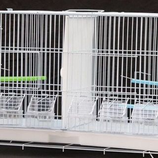 2部屋 ツイン鳥かご スクエアタイプ【鳥小屋 鳥カゴ 鳥 ゲージ ケージ】(鳥)