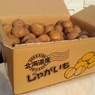 越冬じゃがいも　とうや(野菜)