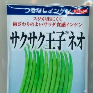 つるなしインゲン 「サクサク王子®ネオ」 野菜種15粒(野菜)