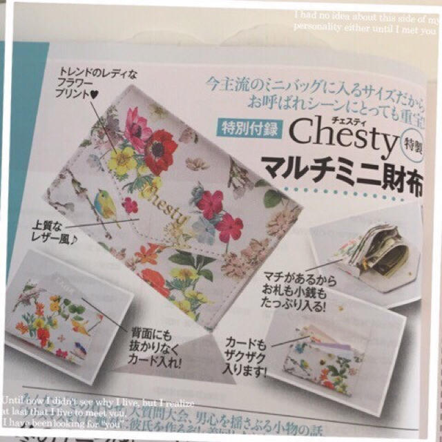 Chesty(チェスティ)のChesty チェスティ 美人百花 付録 レディースのファッション小物(財布)の商品写真