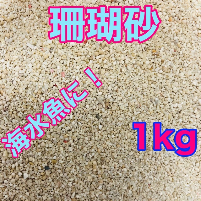 天然珊瑚砂 1kg さんご砂 サンゴ砂 ろ材 海水水槽 ヤドカリ グッピー その他のペット用品(アクアリウム)の商品写真