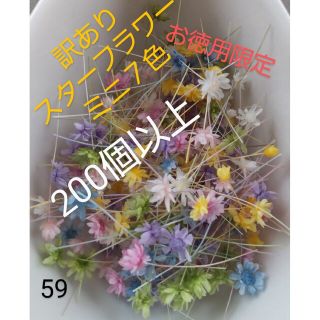 訳あり59スターフラワーミニ７色　200個以上(ドライフラワー)