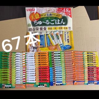 ちゅーる　コージーライフ　大盛　ちゅーるごはん　総合栄養食　犬用　犬　おやつ(ペットフード)