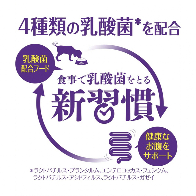 ウェルネス ドックフード子犬用（離乳期〜1歳）800ｇ その他のペット用品(ペットフード)の商品写真