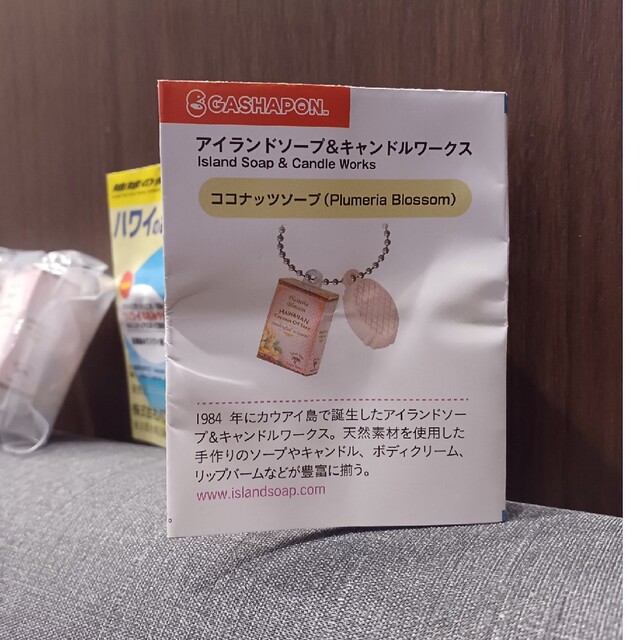 BANDAI(バンダイ)のハワイのおみやげ　ガチャ エンタメ/ホビーのコレクション(その他)の商品写真