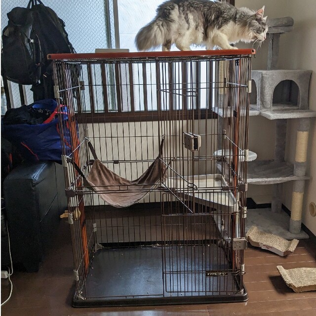 猫 ゲージ ドリンクホルダー付き 人気TOP #7240 キャットヴィル タワーグレー プリント