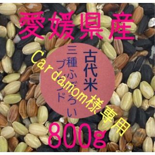 Cardamom様専用 古代米3種ふぞろいブレンド　愛媛県産　800ｇ(米/穀物)