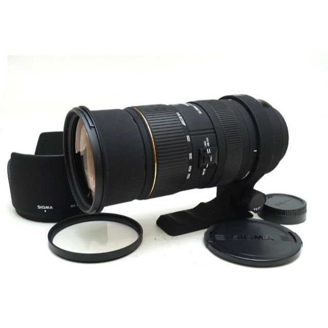 SIGMA - ニコン用 SIGMA 50-500mm F4.5-6.3 APO DG HSMの通販 by