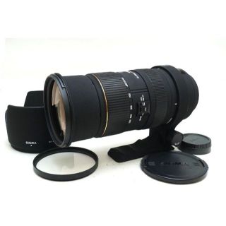 シグマ(SIGMA)のニコン用　SIGMA 50-500mm F4.5-6.3 APO DG HSM(レンズ(ズーム))