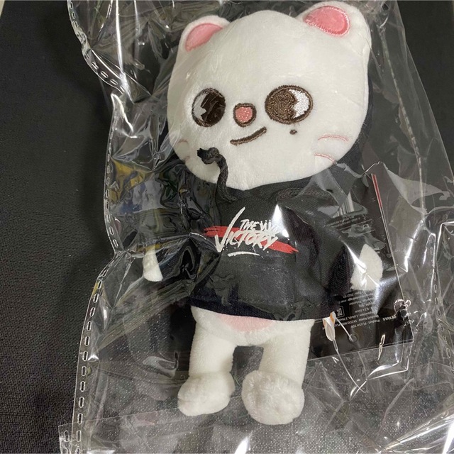 Stray Kids SKZOO ミニぬいぐるみ(ヒョンジン) - タレントグッズ Stray Kids SKZOO ミニぬいぐるみ(ヒョンジン) - タレントグッズ