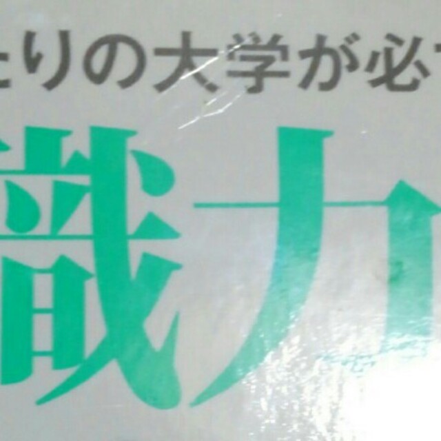 Snow Man(スノーマン)の【値下げ中】就職力で選ぶ大学 2019 エンタメ/ホビーの本(語学/参考書)の商品写真