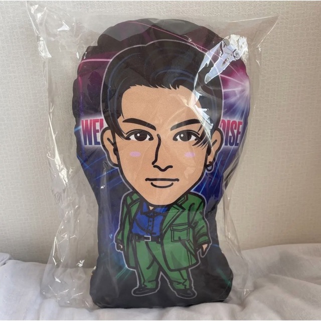 長谷川慎 W2P クッション | www.jarussi.com.br