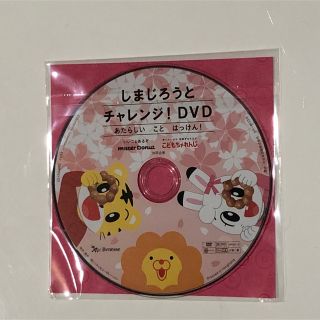 ベネッセ(Benesse)のしまじろうとチャレンジDVD ミスドコラボ(キッズ/ファミリー)